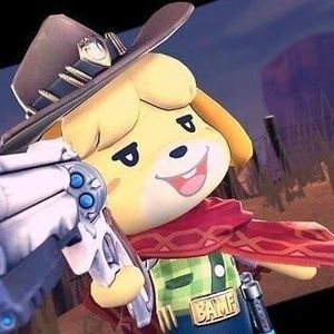 Meet your Posher, Gabriel